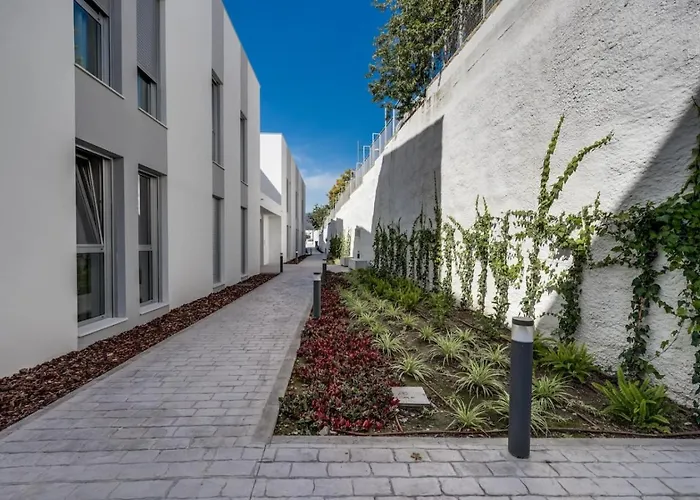 Charming 3br With Panoramic Views Lejlighed